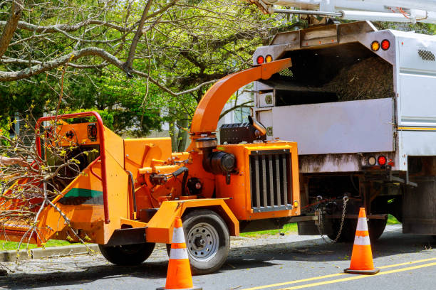 Best Arborist Consultation Services  in Shawsville, VA